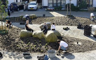 Bewoners Voorhout planten groen