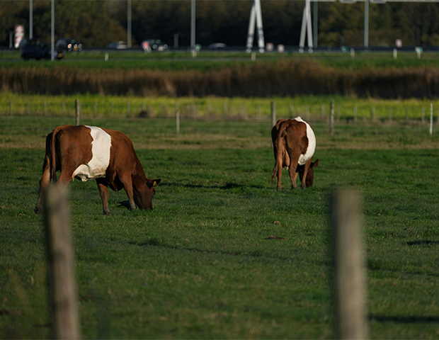 Pacht agrarische grond